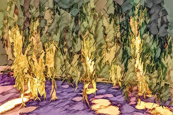 Wide Willow Weeps by KenFoster Photography