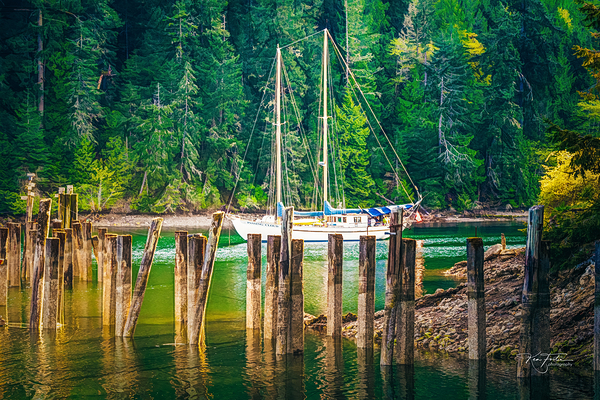 Busy Silence by KenFoster Photography