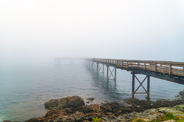 Half In   Half Out by KenFoster Photography