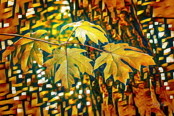 Syrup Mosaic by KenFoster Photography