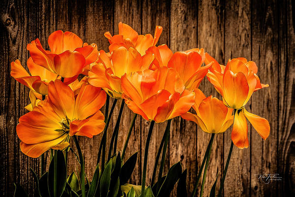 Against the Wall by KenFoster Photography