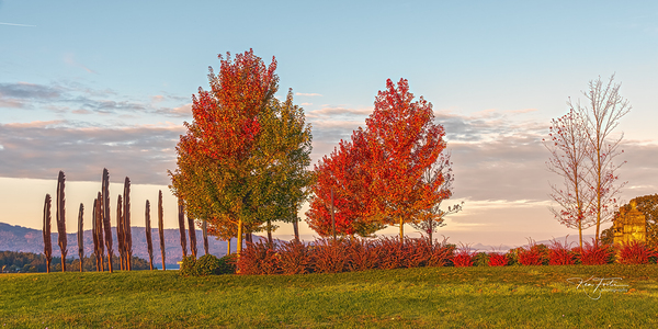 Hospital Hill Memorial by KenFoster Photography