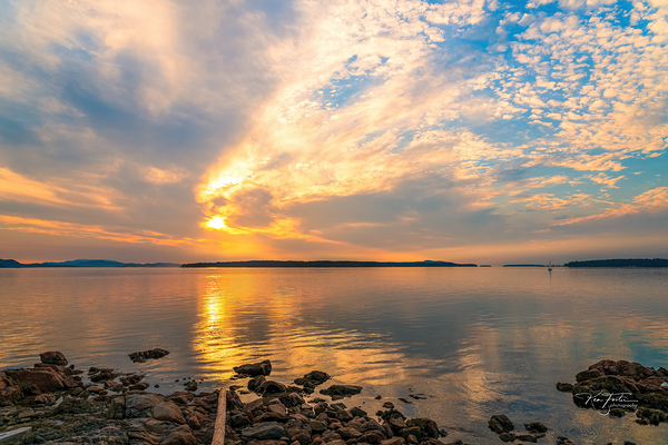 Sky Swimmer by KenFoster Photography