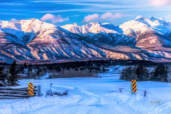 Cattle Guard by KenFoster Photography