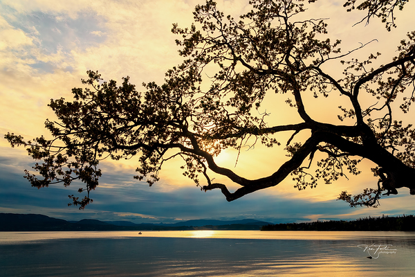 Reach by KenFoster Photography