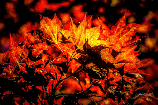 Autumn Bouquet by KenFoster Photography