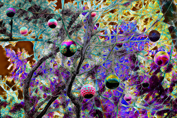 Balls and Branches by KenFoster Photography
